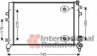 VAN WEZEL 58002295 -  Радиатор, охлаждение двигателя